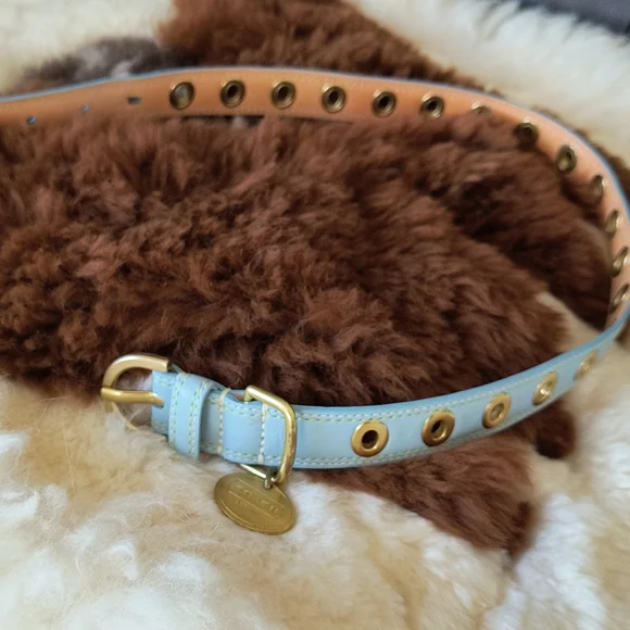 Coach Dog collar